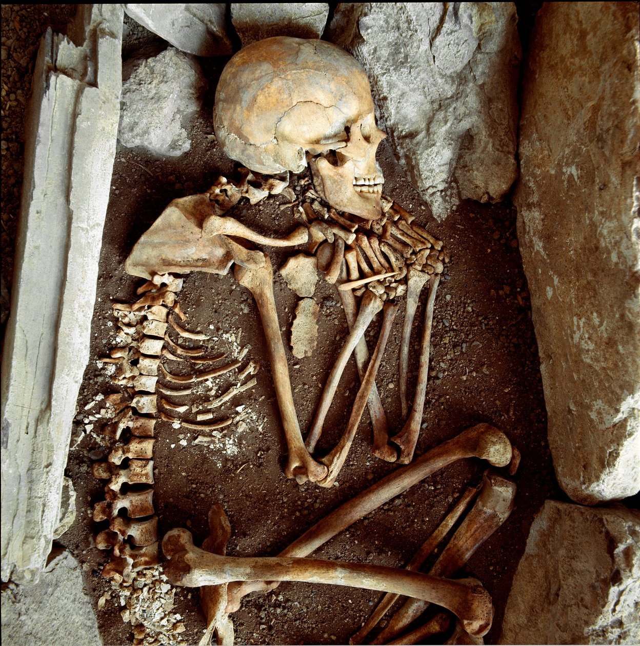 Pravěk: ženská kostra z jeskyně Candide Arene (Finale Ligure). Doba kamenná, neolit. Genes, Museo di archeologia Ligure od Prehistoric Prehistoric