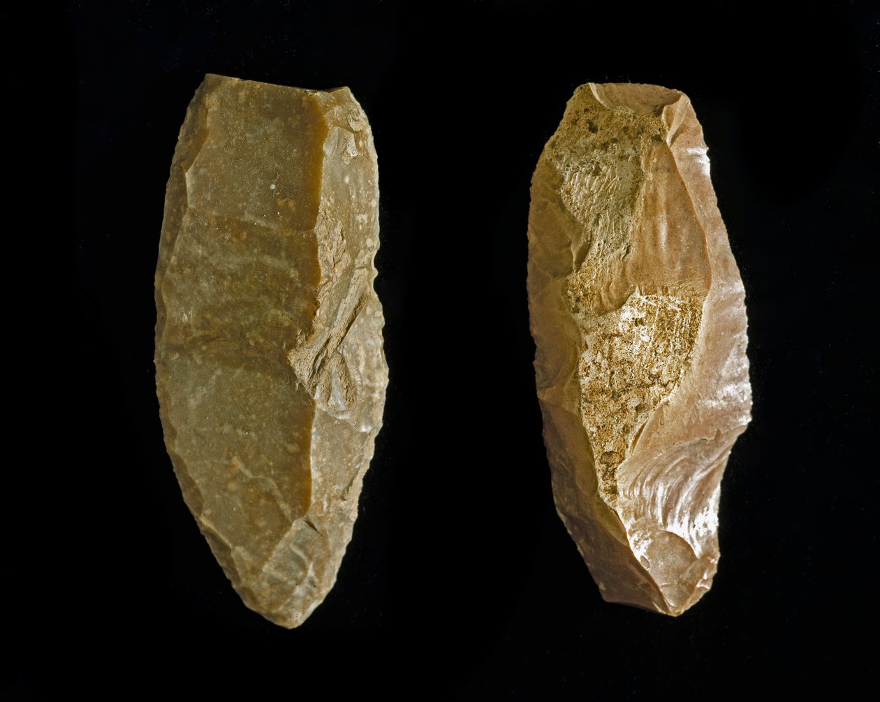 Závěsný od Prehistoric Prehistoric