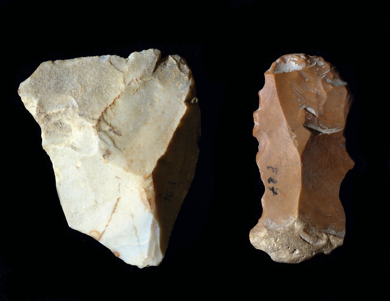Závěsný od Prehistoric Prehistoric