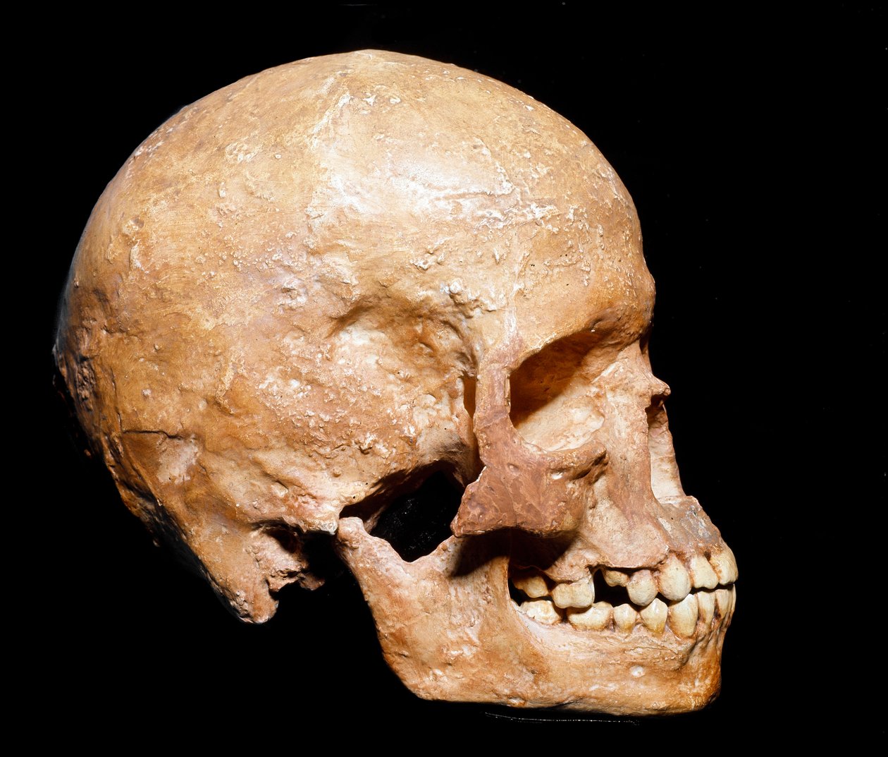 Závěsný od Prehistoric Prehistoric