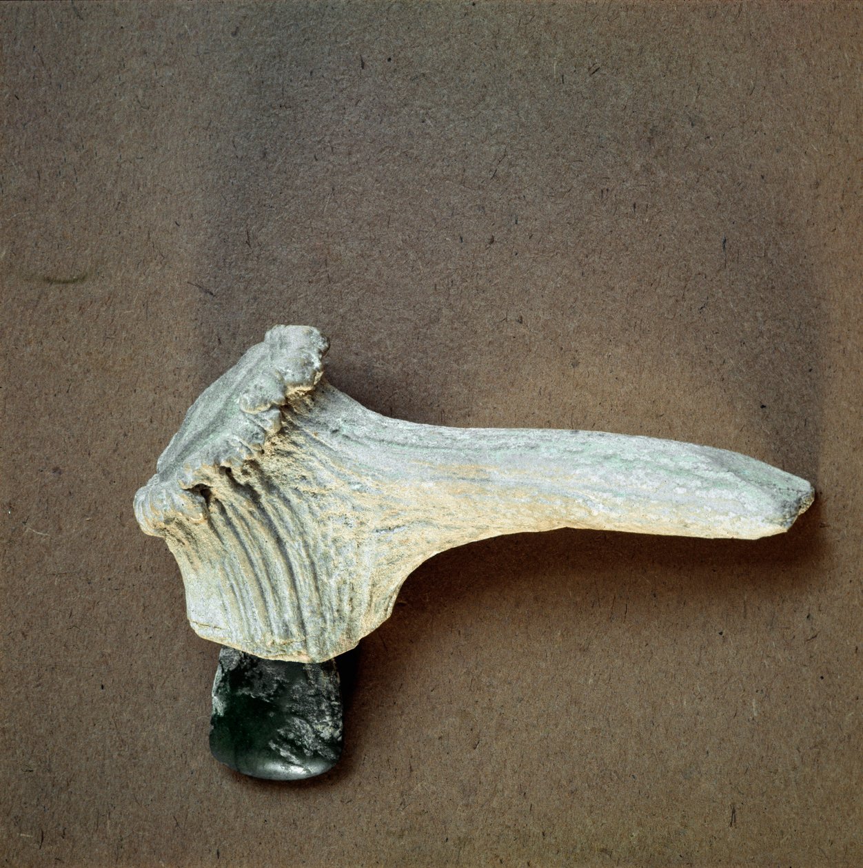 Pravěk: sekerka ze zeleného kamene s rukojetí z jeleního rohu z jeskyně Pollera (Finale Ligure), Ligurie. Střední neolit, doba kamenná. Genes, museo di archeologia ligure od Prehistoric Prehistoric