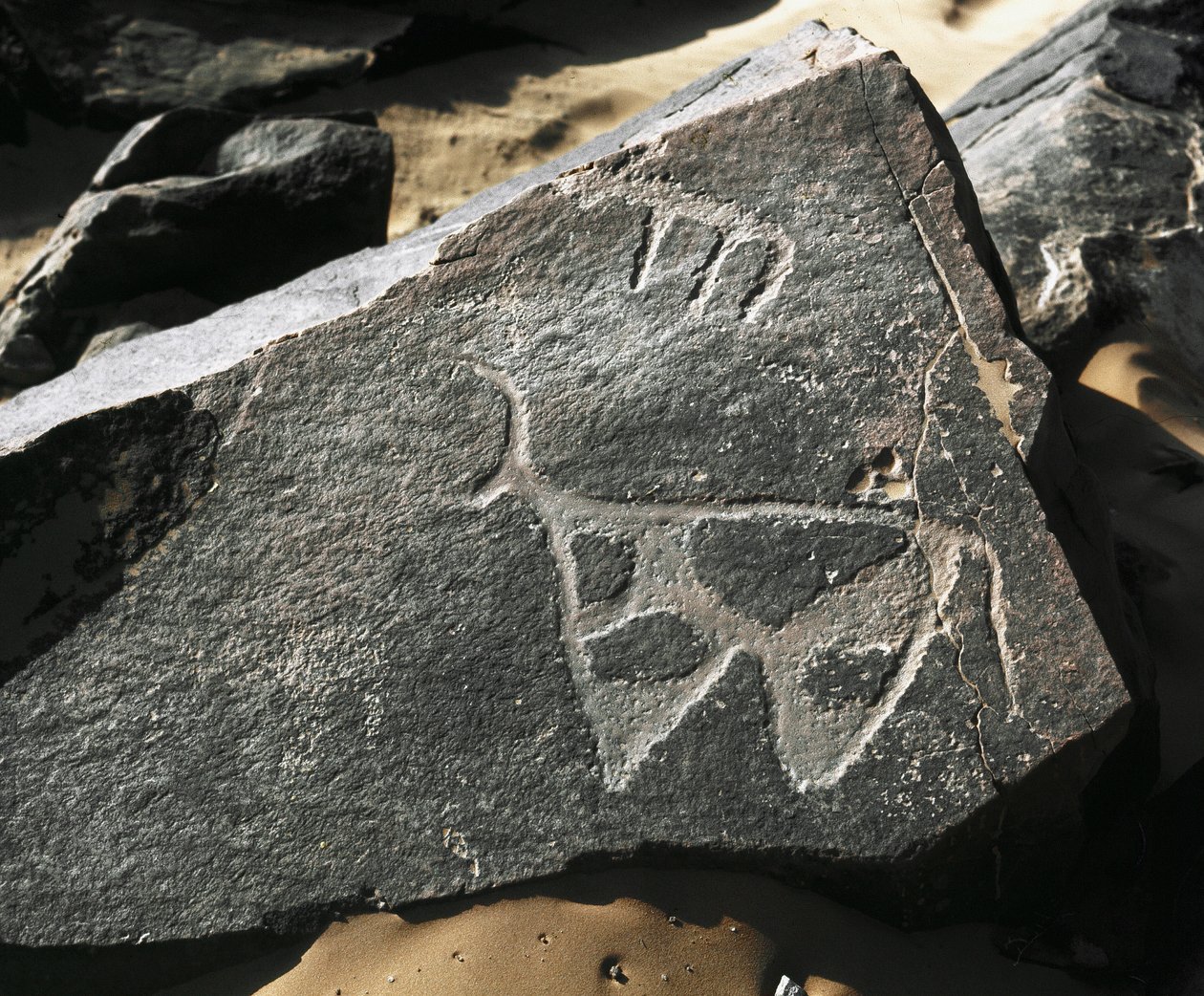 Závěsný od Prehistoric Prehistoric
