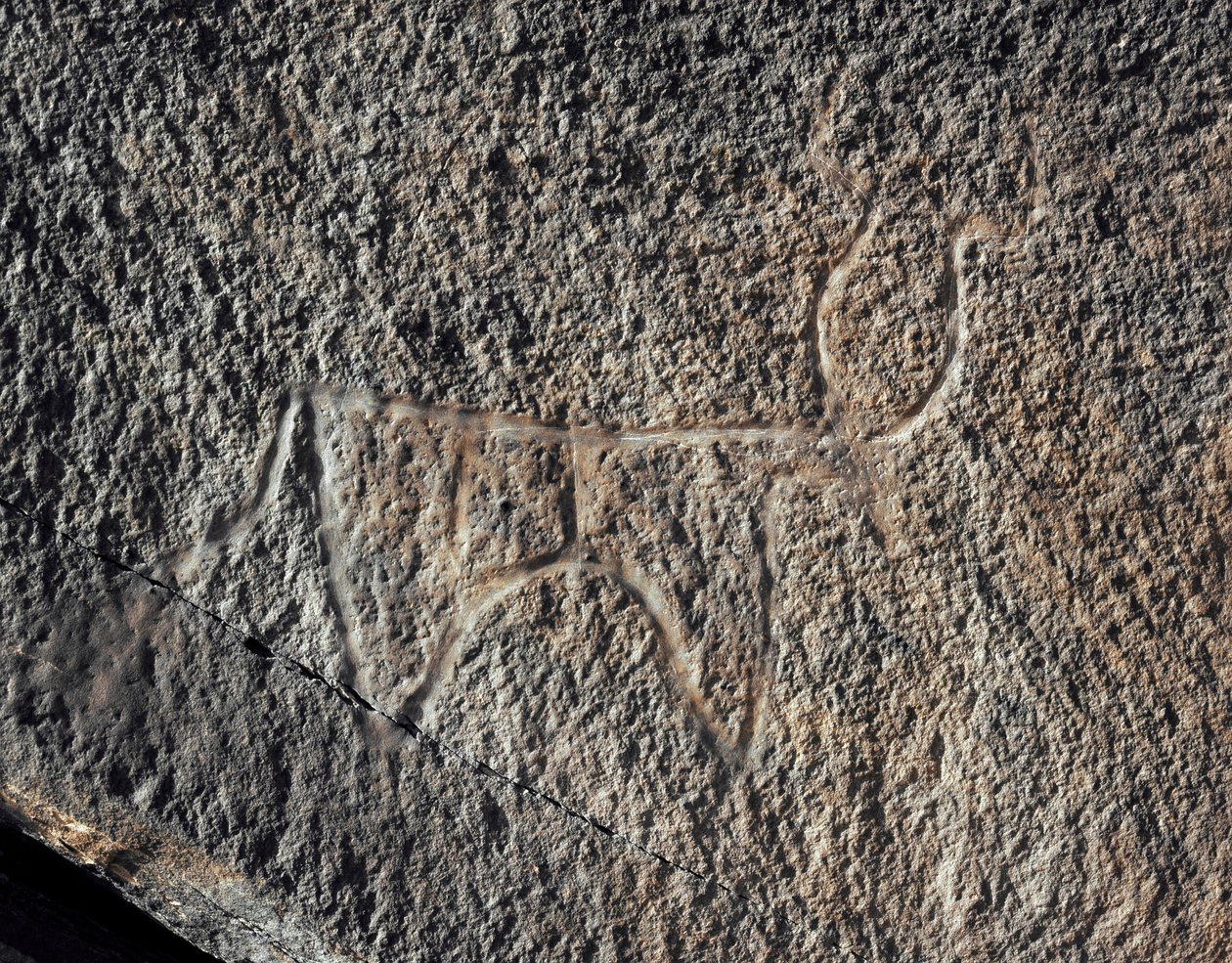 Závěsný od Prehistoric Prehistoric