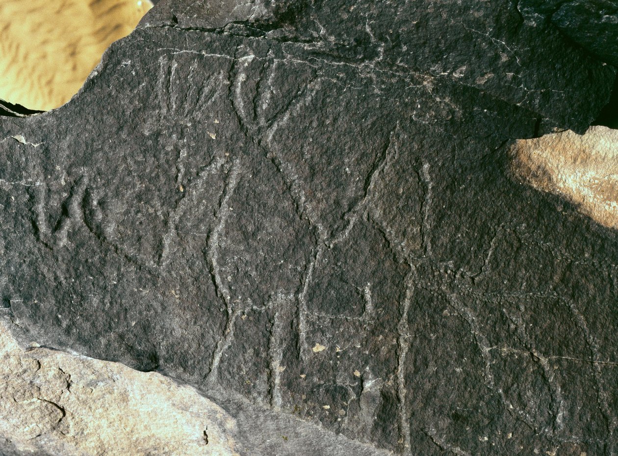 Závěsný od Prehistoric Prehistoric