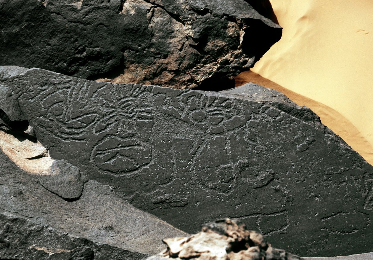 Prehistorie, skalní umění: hrobová skála forem ve stylu Taziny. Doba kamenná 5000-2000 před naším letopočtem. Taghit, Haut plateau du Hoggar (Ahaggar), Alžírsko od Prehistoric Prehistoric