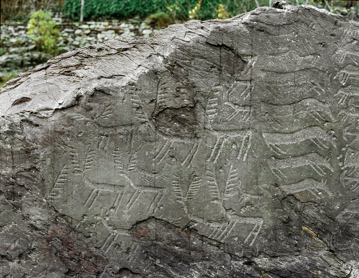 Pravěk, skalní umění: hrobová skála reprezentací jelenů, skotu. Doba měděná. Období eneolitu (chalkolit). Roche ne. 1. Cemmo (Brescia) Národní archeologický park Boulders of Cemmo, Itálie od Prehistoric Prehistoric