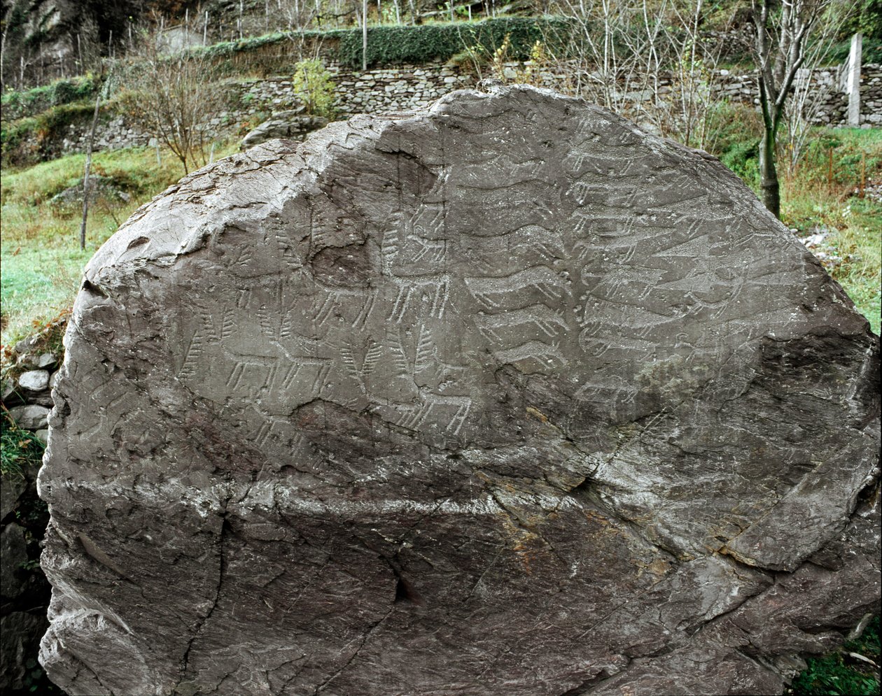 Pravěk, skalní umění: hrobová skála reprezentací jelenů, dobytka a dýk. Doba měděná. Období eneolitu (chalkolit). Roche ne. 1. Cemmo (Brescia) Národní archeologický park Boulders of Cemmo, Itálie od Prehistoric Prehistoric
