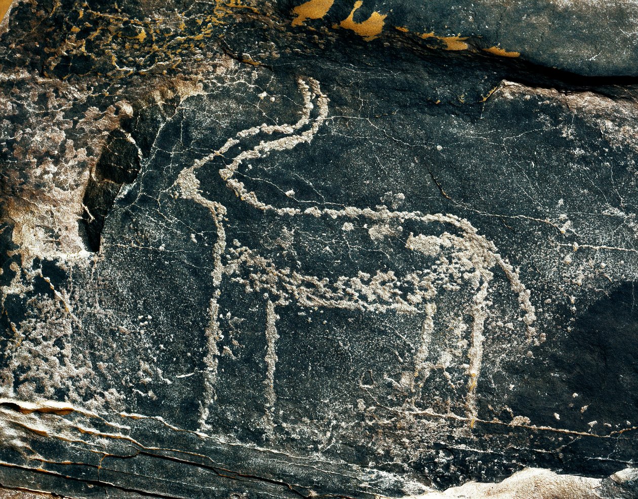 Pravěk, skalní umění: hrobová skála reprezentace antilopy. Doba kamenná 5000-2000 před naším letopočtem. Taghit, Haut plateau du Hoggar (Ahaggar), Alžírsko od Prehistoric Prehistoric