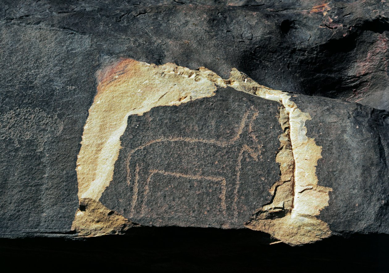 Pravěk, skalní umění: hrobová skála reprezentace antilopy. Doba kamenná 5000-2000 před naším letopočtem. Taghit, Haut plateau du Hoggar (Ahaggar), Alžírsko od Prehistoric Prehistoric