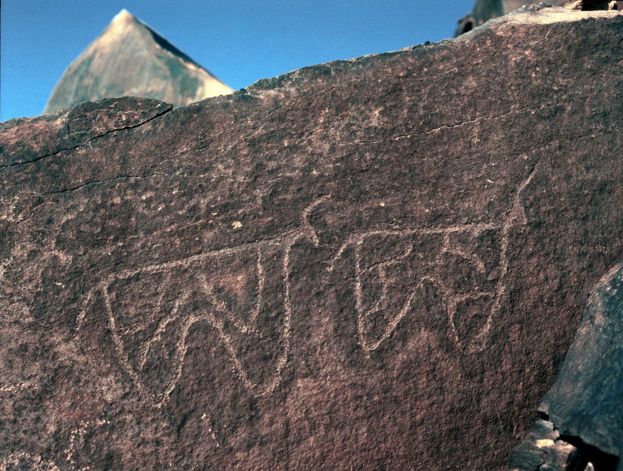 Pravěk, skalní umění: hrobová skála reprezentace dobytka. Styl Tazina. Doba kamenná 5000-2000 před naším letopočtem. Taghit, Haut plateau du Hoggar (Ahaggar), Alžírsko od Prehistoric Prehistoric