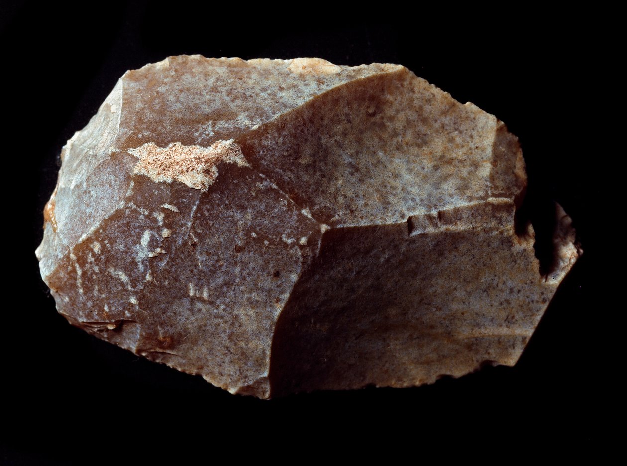 Pravěk: řez na kamenné škrabce. Vrchní paleolit, Magdalena. Verone, Občanské muzeum přírodní historie, Itálie od Prehistoric Prehistoric