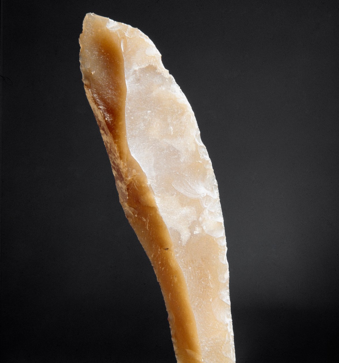 Pravěk: špice pazourku z nekropolu v Arene Candide (Finale Liguria), Ligurie. Vrchní paleolit, doba kamenná. Genes, museo di archeologia ligure od Prehistoric Prehistoric