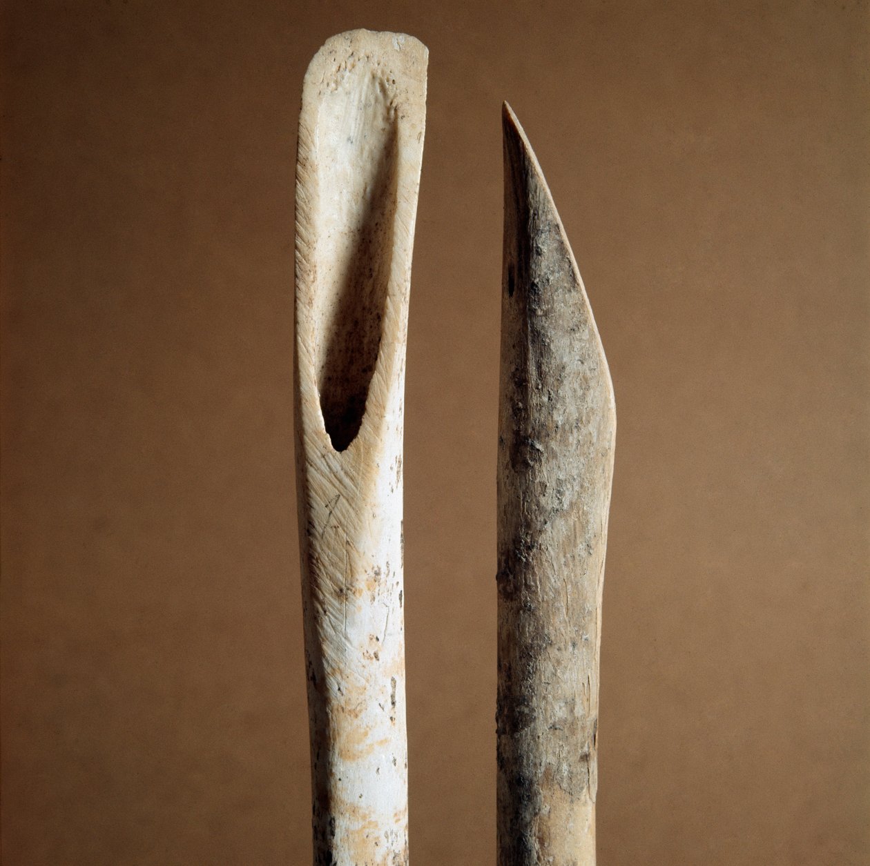 Prehistorie: nástroje k odstranění kůry z holenních kostí koz a ovcí z Necropole of Arene Candide (Finale Liguria), Ligurie. Střední neolit, doba kamenná. Genes, museo di archeologia ligure od Prehistoric Prehistoric