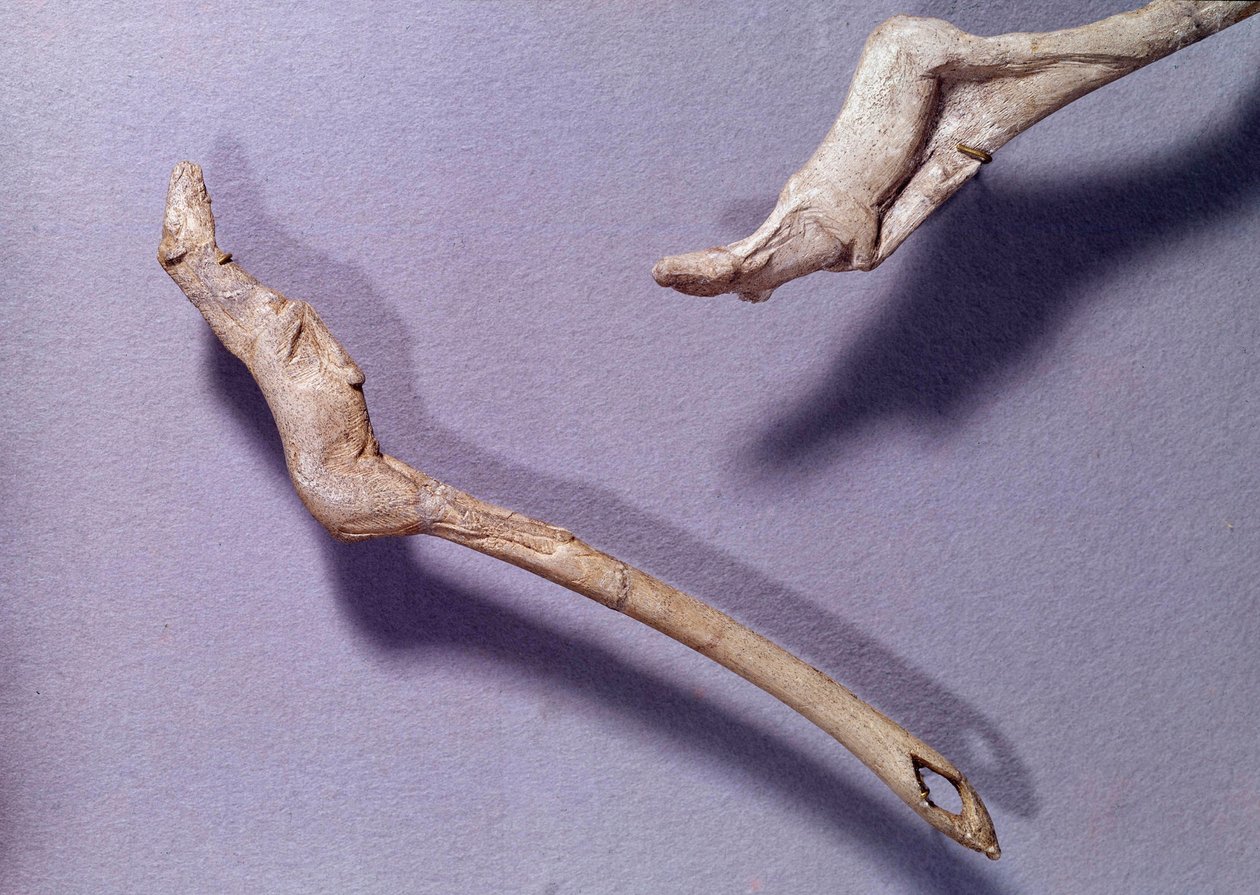 Prehistorie: dva trysky s nápisem "" skákajícímu koni" vyrobené ze sobího dřeva. Období středního magdalénienu. Saint Germain en Laye, Muzeum národní archeologie od Prehistoric Prehistoric