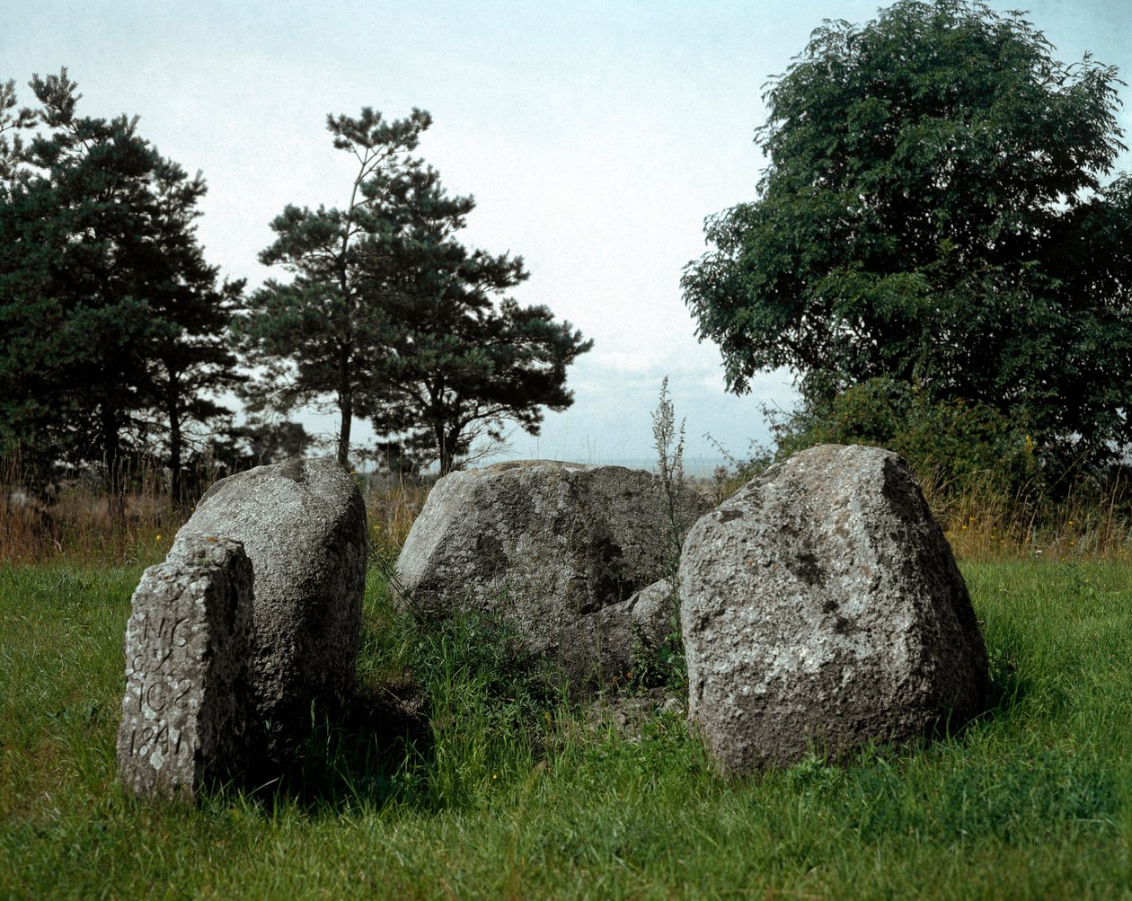Pravěk: pohled na dolmen Chianca s jeho vstupní chodbou. Doba kamenná, neolit. 6.-3. století před naším letopočtem. Bisceglie, Puglia, Itálie od Prehistoric Prehistoric