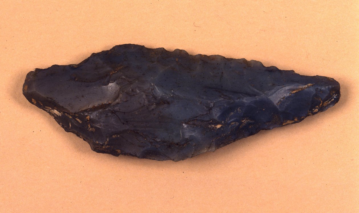 Kamenný hrot šípu objeven v Isolino di Varese (Itálie). od Prehistoric Prehistoric