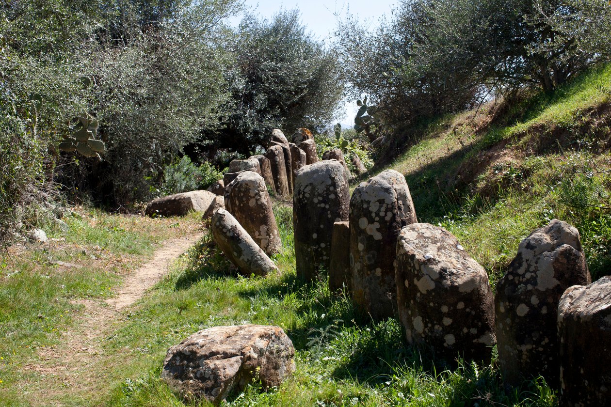 Archeologické naleziště Cromlech M Zora v Sidi El Yamani (Maroko). Neolitická mohyla (2000 př. n. l.), obklopená 167 monolity. od Prehistoric Prehistoric