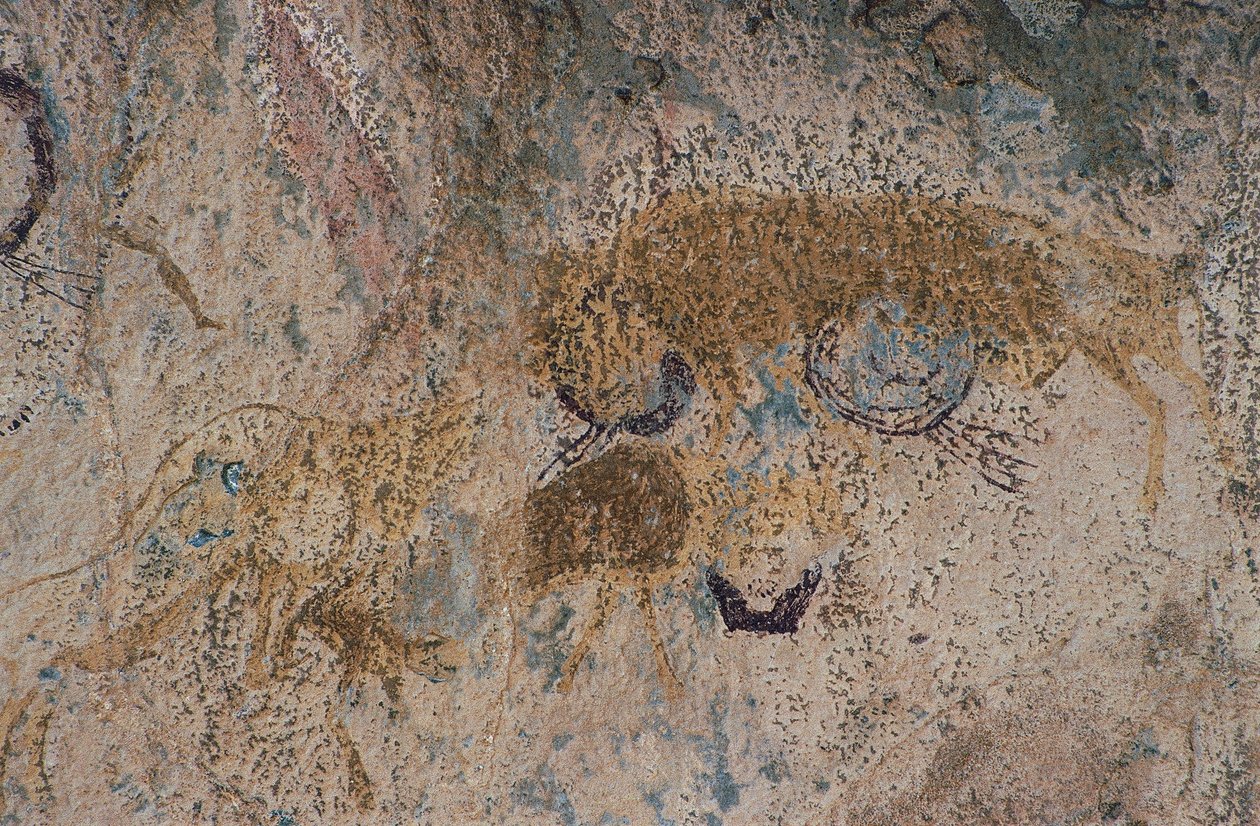Divoká zvířata (jeskynní malba) od Prehistoric Prehistoric