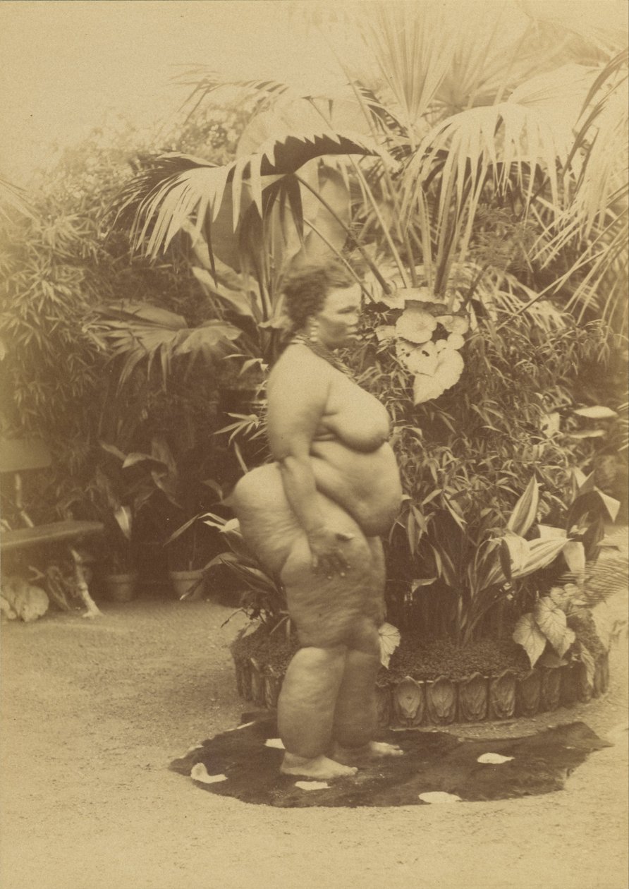 (Africká žena) od Napoleon Bonaparte