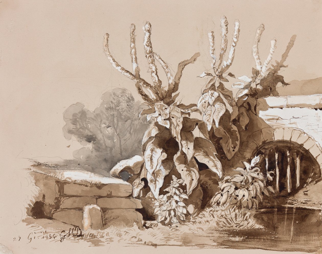 Studium rostlin u příkopu, s dodatky instruktora, 1856 (tužka, sépiové mytí a kvaš na papíře) od Prince Gaetano Maria Federico di Borbone