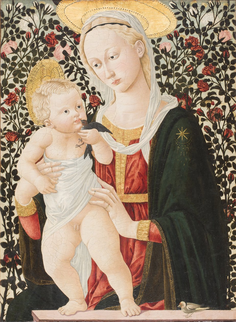 Madona z růží, kolem 1485-90 (tempera) od Pier Francesco Fiorentino