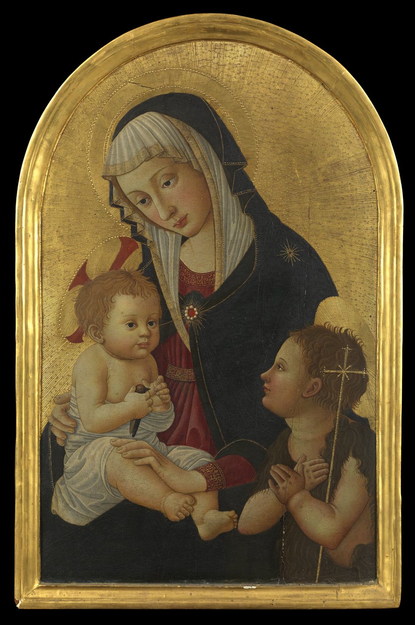 Panna a dítě se stehlíkem a Svatým Janem, po roce 1460 (tempera na panelu) od Pseudo Pier Francesco Fiorentino