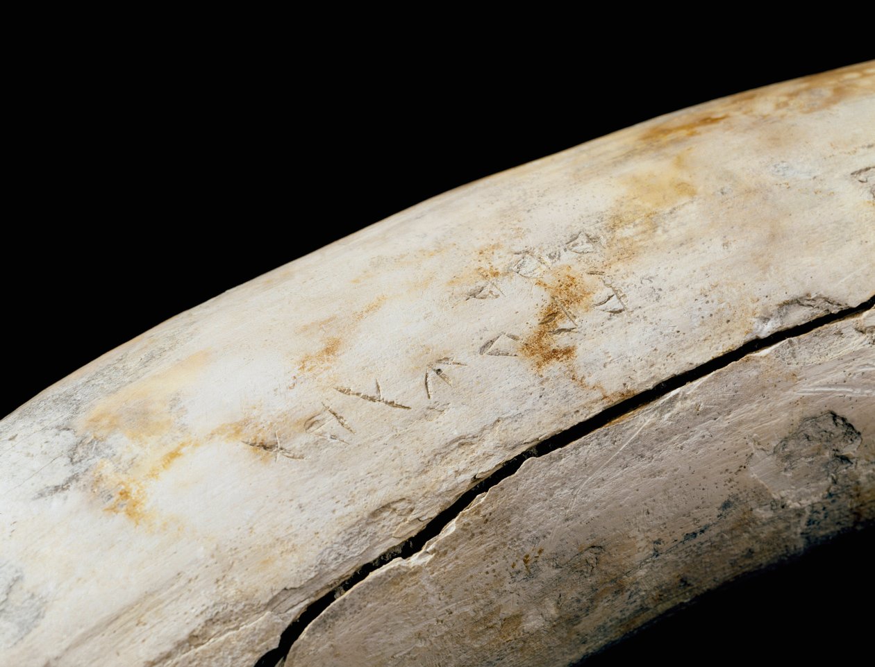 Punské umění (kartaginské): obrana ze slonoviny s vyrytým nápisem. Z Bajo de la Campana (Cartagena) Museo de Cartagena Cartagena Španělsko od Punic Punic