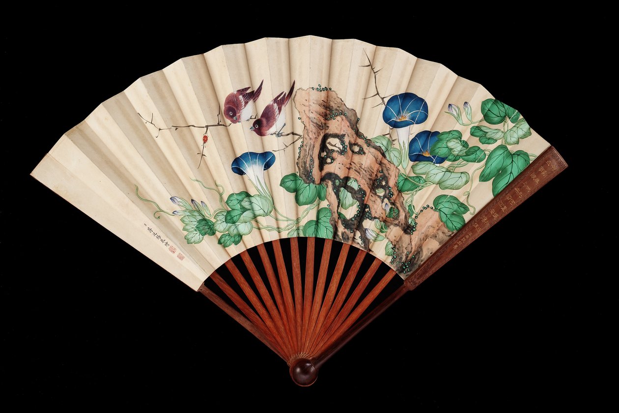 Vějíř zdobený malými ptáčky a ranními slávami (inkoust a barva na papíře) od Qing Dynasty Chinese School