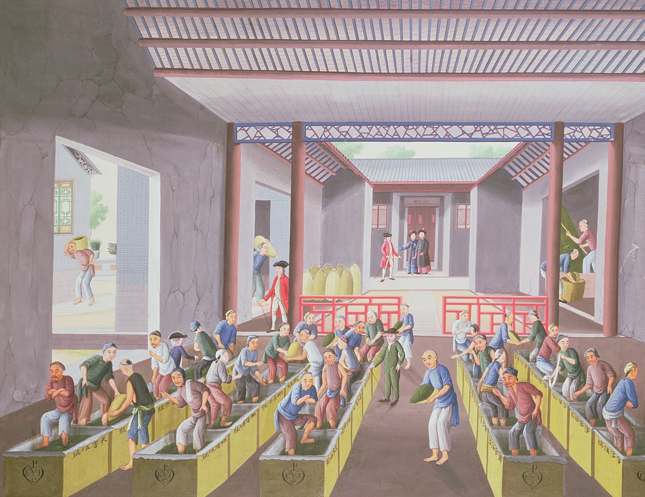 Výroba čaje, z alba 23 obrazů, cca 1790 (barva na papíře) od Qing Dynasty Chinese School