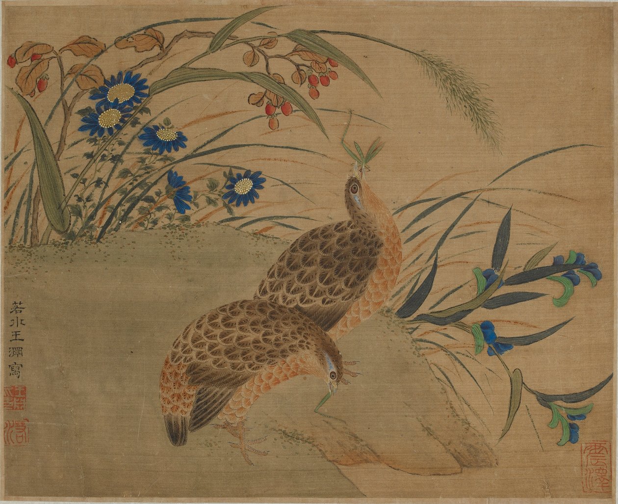 Dvě křepelky jíst kobylky pod květinami od Qing Dynasty Chinese School