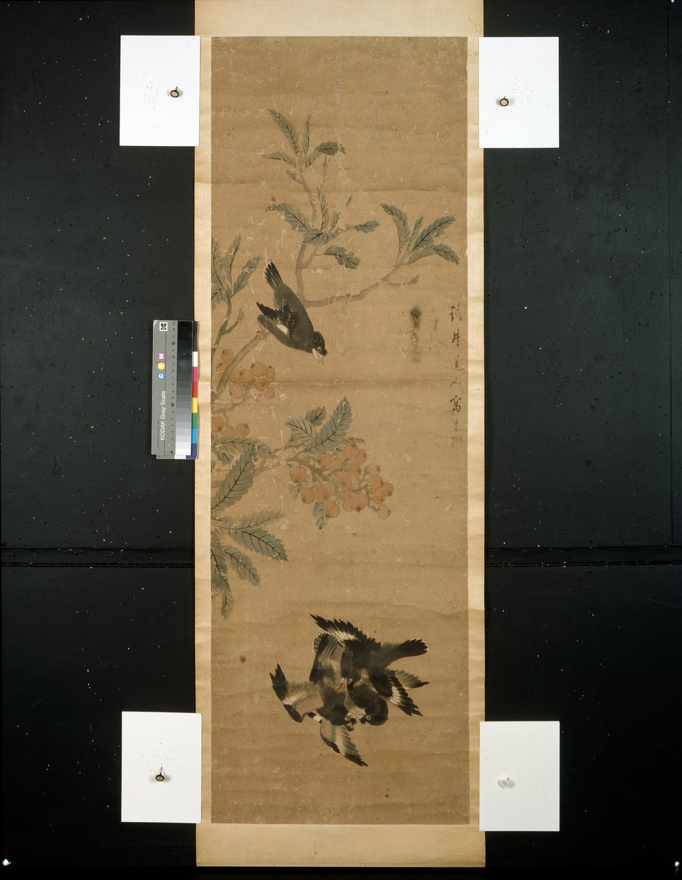 Ptáci a větev od Qing Dynasty Chinese School