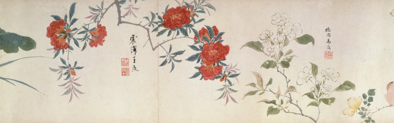 Květiny, Handscroll (inkoust a barva na papíře) od Qing Dynasty Chinese School