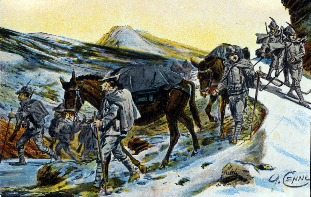 První světová válka: skupina italských alpských lovců v uznání svými mulami v roce 1915. Ilustrace Quinto Cenni (1845-1917) od Quinto Cenni