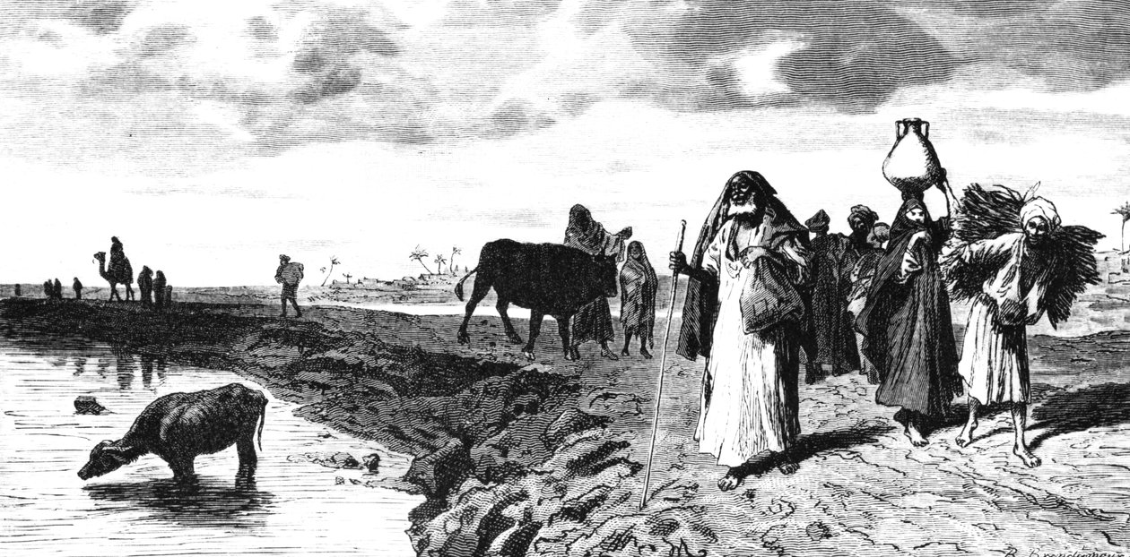 Chaussee v deltě, v době povodně, 1880 od R. Brandamour