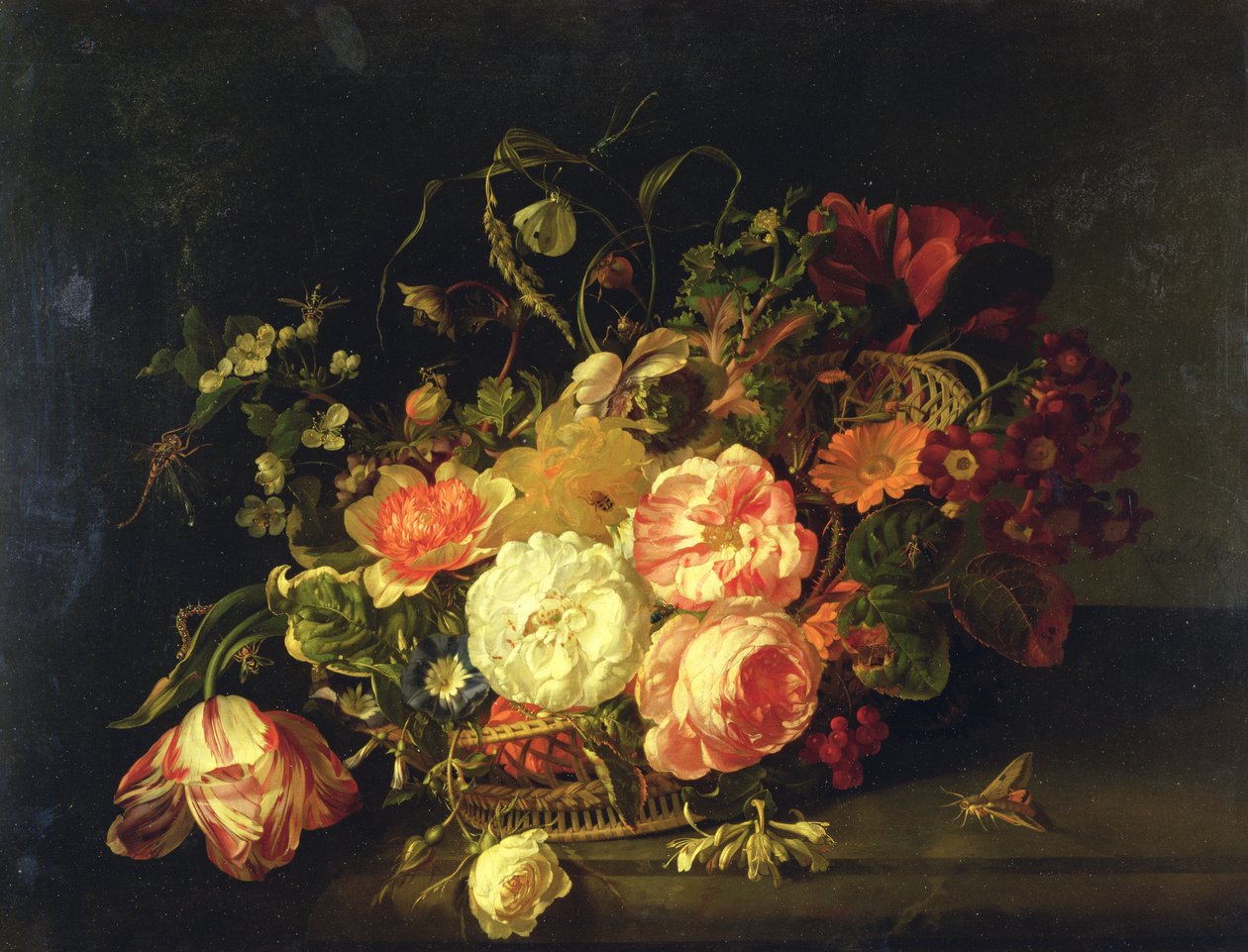 Květiny a hmyz, 1711 od Rachel Ruysch