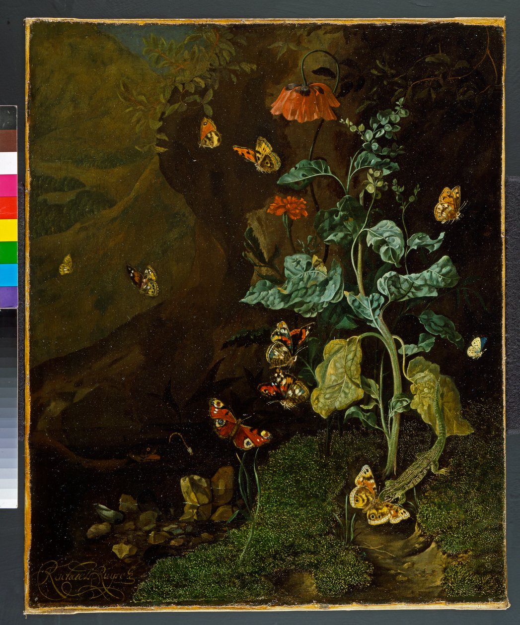 Zátiší s květinami, motýly a ještěrkou v údolí, před rokem 1750 od Rachel Ruysch