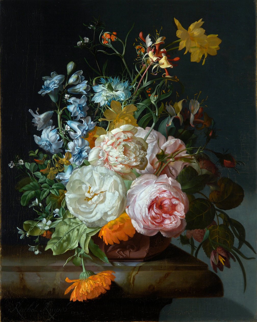 Květiny v terakotové váze od Rachel Ruysch