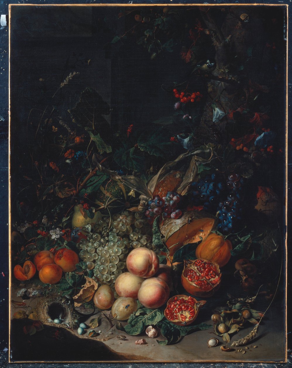 Broskve, hrozny, granátová jablka, melouny, kukuřičný klas, meruňky, švestky, hrušky, žaludy, 1718 od Rachel Ruysch