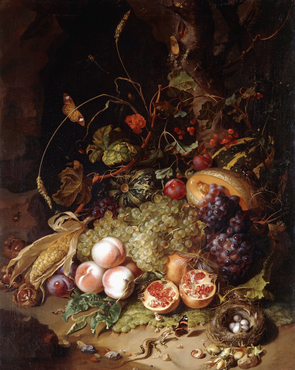 Zátiší s ovocem a hmyzem, od Rachel Ruysch