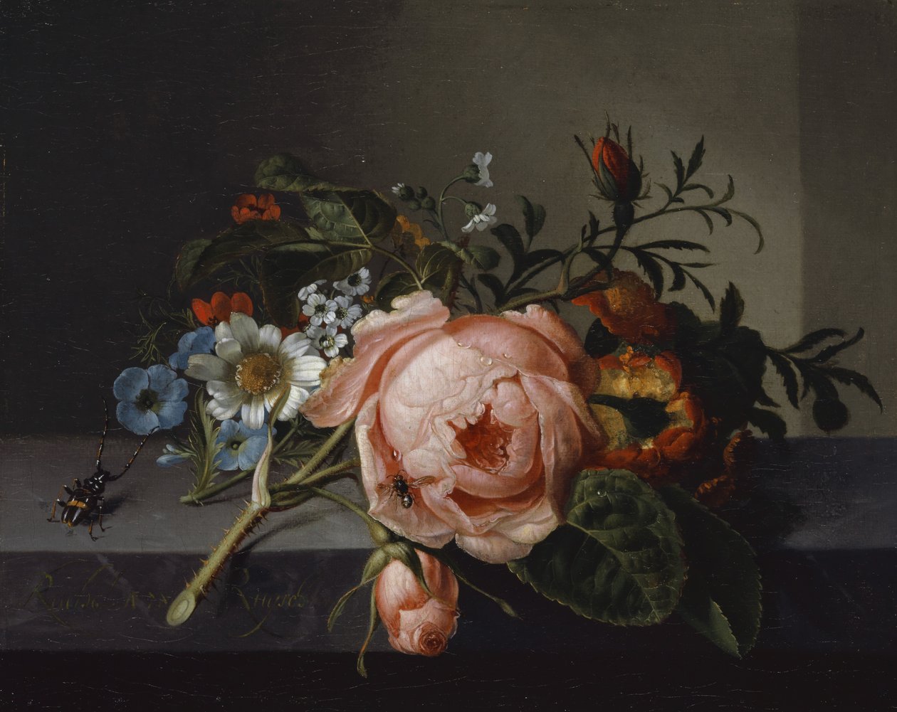 Zátiší s růžovou ratolestí, broukem a včelou, 1741 (olej na plátně na dubu) od Rachel Ruysch