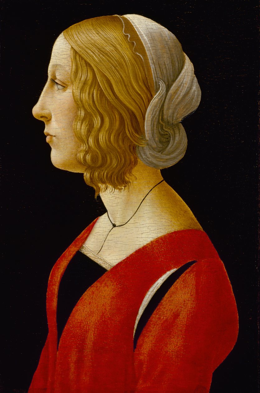 Busta mladé ženy, cca 1485-90 (tempera na panelu) od Raffaellino del Garbo