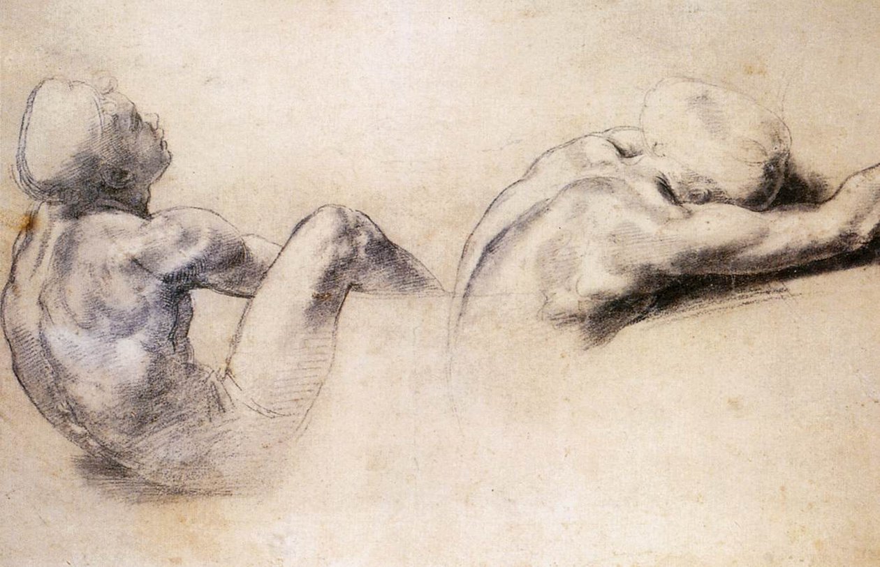 Obrázek Studie od Raffaello Sanzio Raphael
