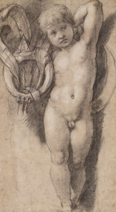 Putto s medicejskými symboly od Raffaello Sanzio Raphael