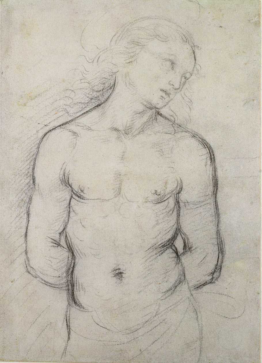 Svatý Šebestián, 1499-1500 (černá křída na bílém papíře) od Raffaello Sanzio Raphael