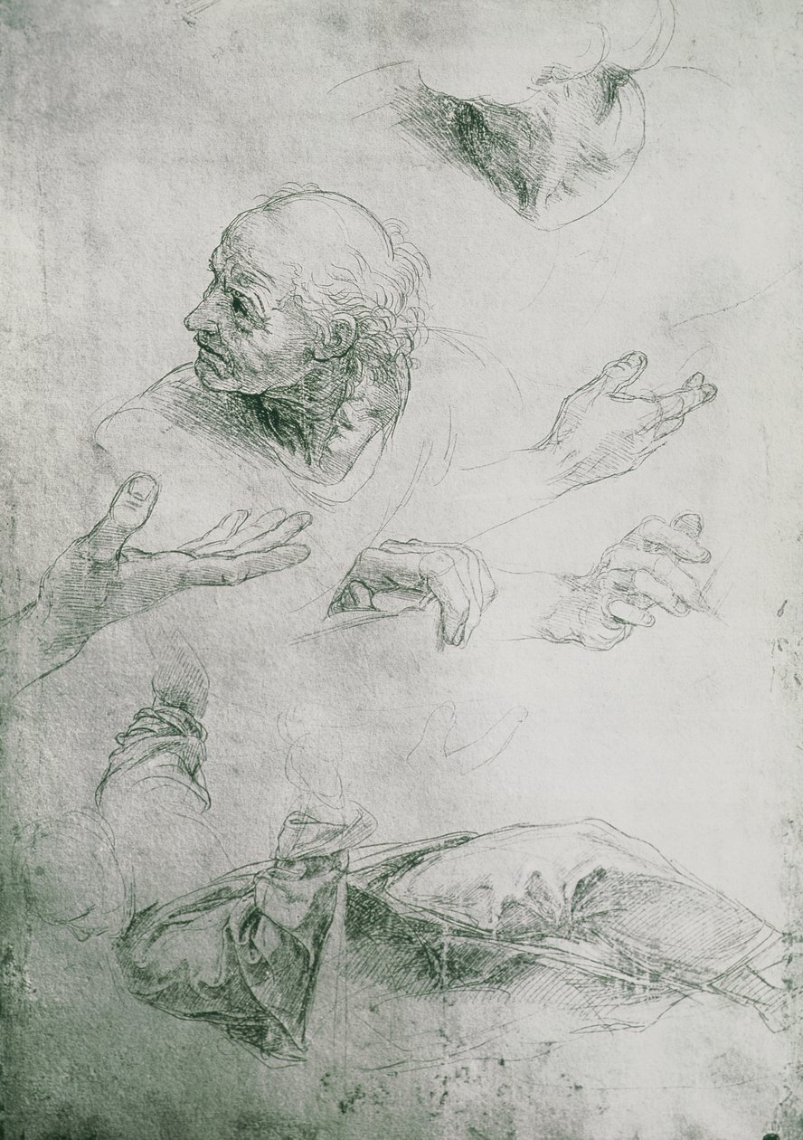 Studie k postavě Bramanteho (1444-1515) od Raffaello Sanzio Raphael