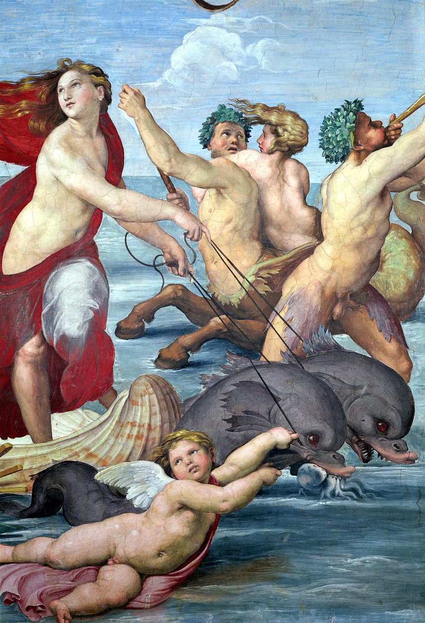 Galatea, detail mořanů a delfínů, 1506 detail fresky z 56473 od Raffaello Sanzio Raphael