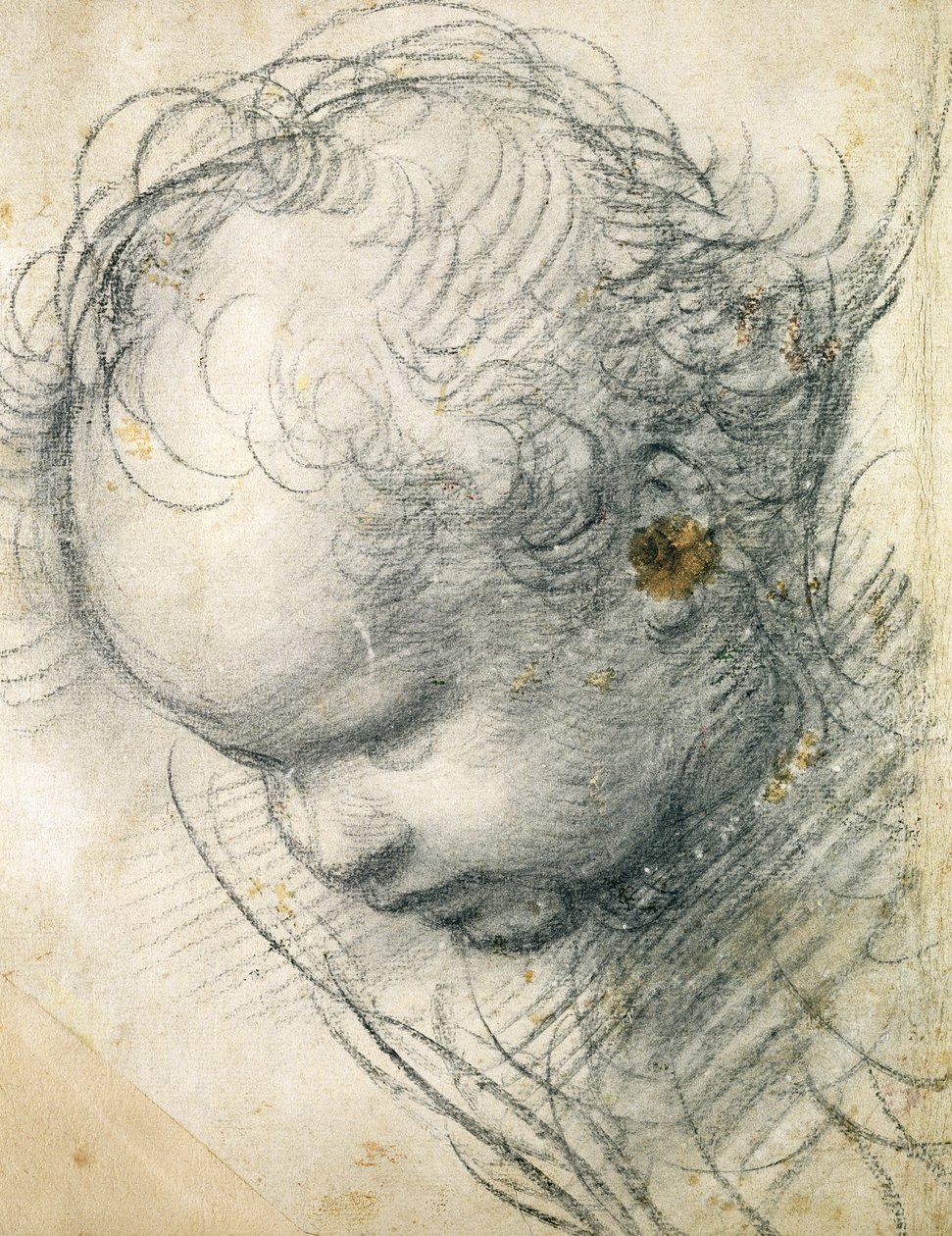 Hlava cherubína (černá křída a dřevěné uhlí na papíře) od Raffaello Sanzio Raphael