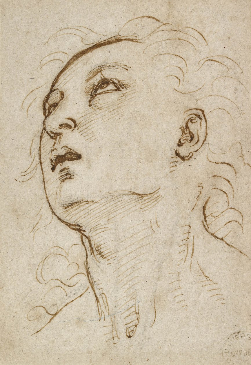 Hlava mladého muže hledícího vzhůru, c. 1497-1504 (pero a hnědý inkoust přes kovový hrot na krémovém papíře) od Raffaello Sanzio Raphael