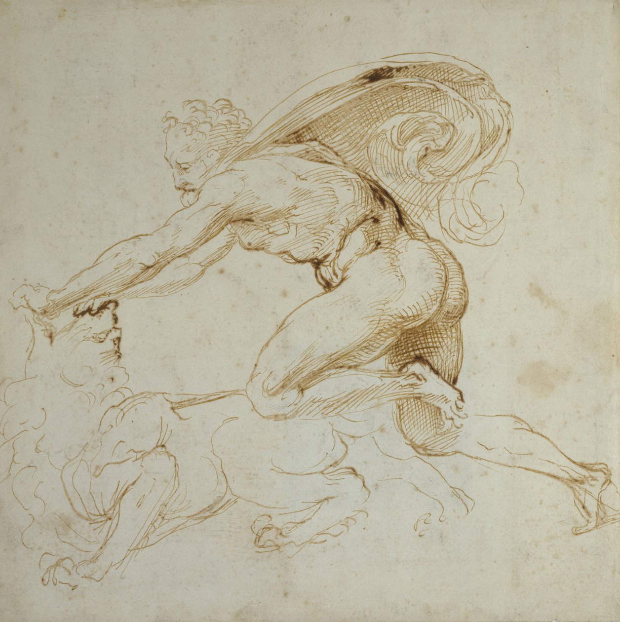 Herkules přemohl lva (pero a hnědý inkoust na bílém papíře) od Raffaello Sanzio Raphael