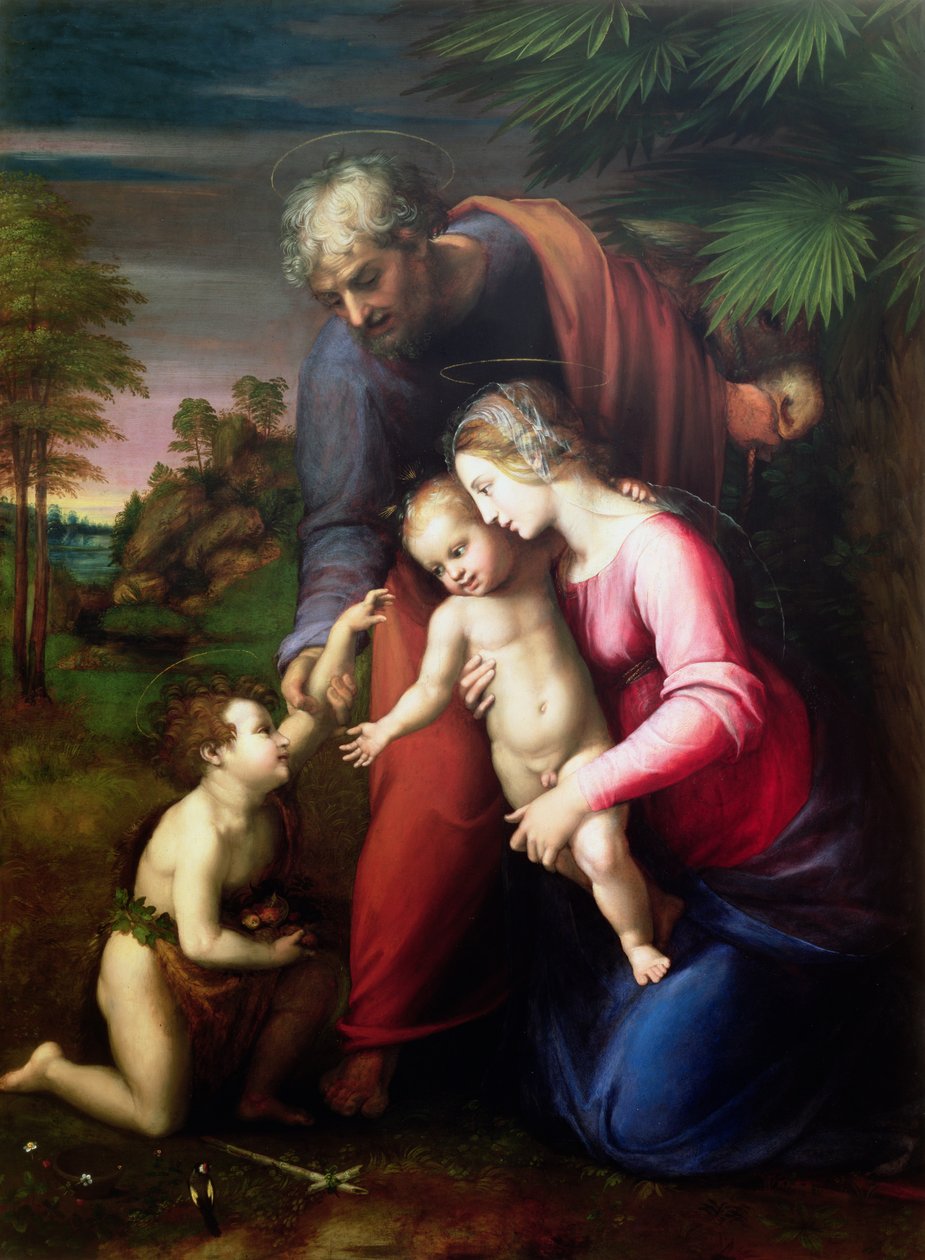Svatá rodina s Janem Křtitelem, 151314 od Raffaello Sanzio Raphael